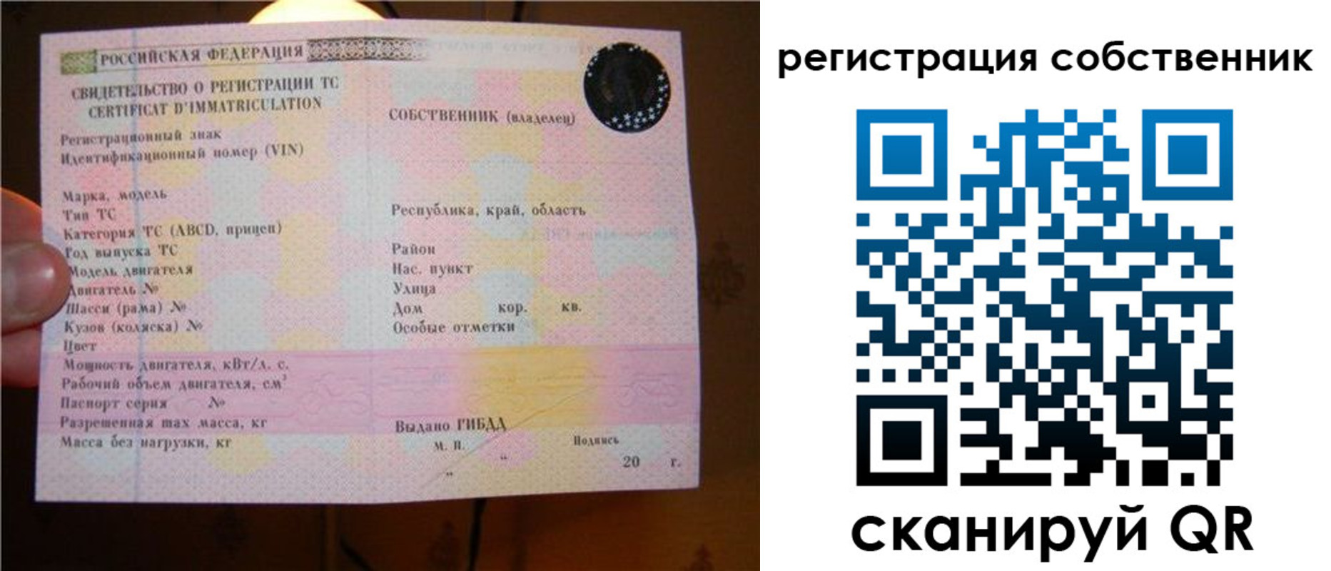прописка иностранных граждан в Талице